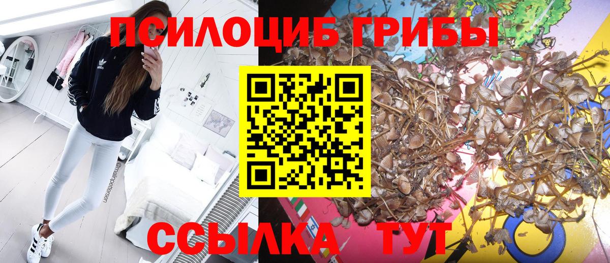 Галлюциногенные грибы мухоморы Липецк