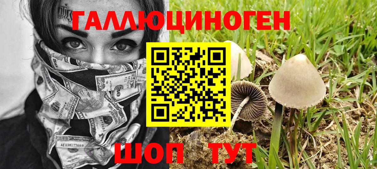 Псилоцибиновые грибы Cubensis  Вход с VPN  Липецк 
