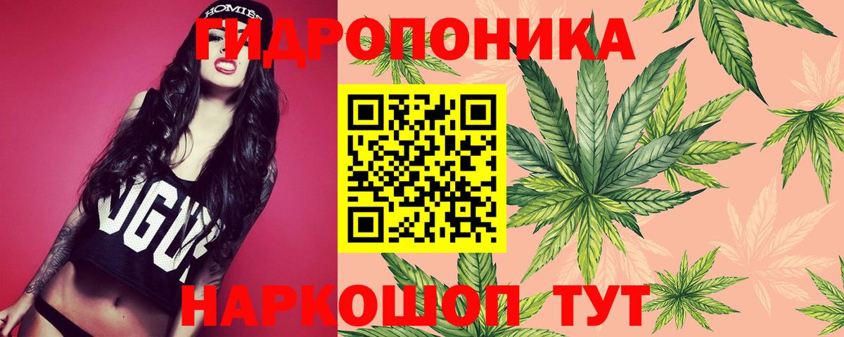Конопля индика  Шишки марихуана ГИДРОПОН  Канабис OG Kush  Вход с VPN  Липецк  Марихуана тримм 